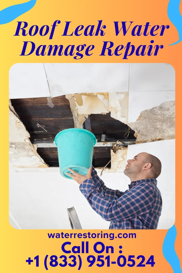 Roof Leak Water Damage Repair in Star Valley Ranch, WY